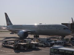 エティハド航空　ファーストクラス搭乗記　成田～アブダビ～カイロ　Review:Etihad Airways First Class 　ETIHAD AIRWAYS・EY （2018/GW カイロ・アムステルダム・ワルシャワ①）