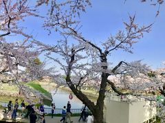 GW花見 in 函館