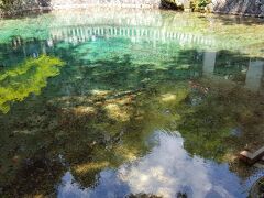 初めてのバスハイク♪　2018.５  山口県・別府弁天橋、元乃隅稲荷神社、角島大橋