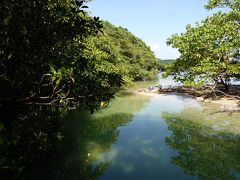 ビーチリゾート探訪は、もう卒業！これからは野鳥観察に路線変更。石垣島、西表島に飛んで、リュウキュウアカショウビン、カンムリワシに出会うぞ！の巻4：いざ！激闘!西表島最終日 ～ 3日目編。