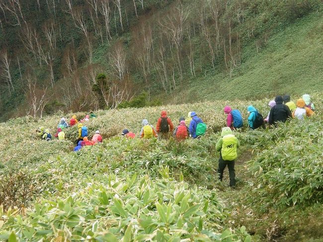 八間山は、野反湖の東岸にそびえる山です。野反峠登山口からの登山道は、天気が良ければ浅間、草津白根、榛名などの山々を見ることが出来ます。登りの登山道では７月頃になると、シラネアオイ、イワカガミ、ナエバキスミレ等が、４月から６月頃の山頂付近では、ムスカリ、アズマシャクナゲ、が見られます。６月から８月頃の下りの道では、ミツバオウレン、ツマトリソウが見られ、４月～５月にはムラサキヤシオ、イワナシ、シラネアオイの花々が心を和ませてくれます。