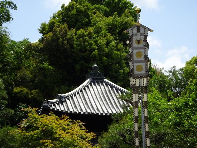 妙法院は、智積院の隣にある天台宗のお寺で、三十三間堂の本坊でもあります。<br /><br />そのご本尊である普賢菩薩の縁日として、この日法要が営まれ、本堂（普賢堂）が特別公開されます。<br /><br />そして、本堂にはここにしかないといわれる、江戸時代中期の絵師、調子武音（ちょうし・ぶおん）作の龍の天井画があるとのこと。<br /><br />調子武音は、伊藤若冲や円山応挙、池大雅らとならび京都で活躍した幻の画家です。<br /><br />そして国宝の庫裡をはじめとする圧倒される堂宇、すばらしい庭園、この時期のきれいな青もみじ、これはもう出かけるしかありません。<br /><br />【写真は、幟と特別公開の本堂（普賢堂）です】