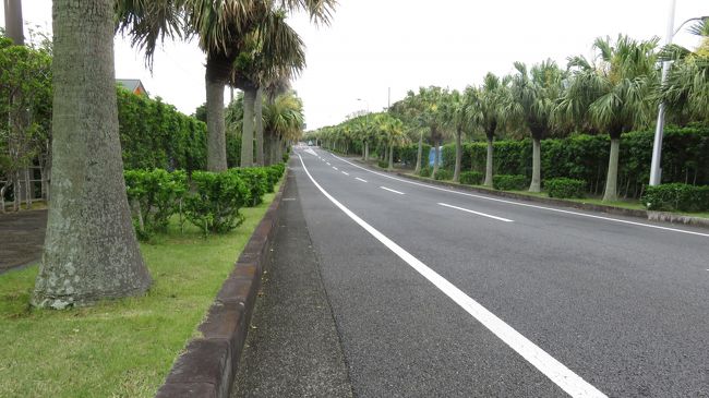 八丈島旅行１日目<br />５月８日<br />　平成２９年、念願だった全都道府県を自動車で走破する夢がかなったので、同年から島巡りをはじめ、去年は佐渡に行った。佐渡旅行は、自宅から車ででかけ、フェリーで佐渡に渡り、島を巡った。佐渡でカヌーに挑戦し、見事に海に放り出されたので、ワイフの腕時計が海水につかった。修理に旅行傷害保険を活用した。<br />　今回の旅行は、今日の便の予約開始の月だった３月に予約した。使用したのは、現金ではなくマイルだ。３月末にマイルが消滅してしまうものがあったので、もったいない、どこかの島に行こうと、１万２千マイルで行ける、八丈島に行くことにした。本当は、石垣島に行きたかったのだけど、ワイフと特典旅行でそちらに行く計画があったので、八丈島にしたのだ。ただし、一人旅である。<br />　宿は、例によってbooking.comでケンチャルマに予約した。コンドタイプの宿を確保し、気ままに自炊して滞在費を切り詰めるつもりでいる。八丈島でダイビングする場合は、お勧めの宿だ。車は、全滞在期間借りることにし、宿経由ではなく、八丈島の観光案内サイトにあったレンタカー会社を表示の順に電話し、車が空いていて、保険が当方の希望通りのフルカバーに近い条件で貸してくれる八丈島カーセンターに手配した。車種は軽だ。八丈島カーセンターに行ったら、軽の車両が沢山あった。<br />車種を軽にしたのは、地方旅行には結構行く機会があり、多くの海辺の街を回った経験からすると、車幅が小さく、小回りが利く車の方が便利という思いがあるからだ。宿経由の車には、車両保険がかかっていないということで、過去に、車をレンタルして傷つけたことはないけど、万一のとき、人の車をきれいにするのに大金を負担したくないから、費用が多少かかっても、車両保険がかかっている車を八丈島カーセンターから借りることにした。<br />　Booking.comで宿を予約すると、予約完了直後位に宿からウェルカムメールがくる。予約手配がきちんとされていることが確認できて安心だ。宿賃が安いことも必要だけど、予約した宿がちゃんと確保されていることを知ることが出来るのは、安心できてよい。ただし、海外からは、英語でくるので、英語がわからないと、何のメールか不安になるかもしれない。<br />　１１月のパラオの宿を予約したときは、宿から出発の日の宿泊が必要なのではとの指摘を受けた。確かによく確認したら、出発の宿泊が含まれていなかった。このときは、パラオからのメールが日本語で来、宿の人なのか、オーナーが日本人なのか、日本語が読み書きできる人だとわかった。パラオの宿もコンドタイプだ。<br />　昨日は、出発前に、少し、現地で食べるものを準備しておこうかと思い、調理するつもりだったけど、調理の前に、あらかたの現地に持参する予定のものを仮パッキングしたら、とても、下調理をした素材（玉ねぎをあめいろまで炒めて、カレーの素材とか、オニオンスープに利用する。肉を下味付けて焼いておき、料理に使うとか）を携行する空間がないことがわかり、計画を断念した。おととし、十和田湖のバックパッカーの宿を利用したときは、近くの食糧品店にほとんど何もなく、大した料理が出来なかった思いがあり、多少、持っていこうかしらと思ったのだけど、まあ、なるようになるさ、ということにした。<br />　昨晩、空港には、どのような交通手段でアクセスするか検討した。普段のとおりだと、自宅から私鉄とJRで行くのだけど、いろいろ検討した結果、勤め先から、車で袖ケ浦のバスセンターに行き、付近の駐車場に日置料金３００円で車を留置き、高速バス１，０３０円で羽田空港に行くと、時間も費用も一番安いことがわかり、かつ、荷物を持って乗り換えもしなくて済むので、一番楽と判断し、今日は、そのとおりの方法で羽田に来た。バスの乗車時間は、約３０分だった。朝一番のバスなのに、結構な人が乗っていた。<br />　羽田空港について、バゲージのチェックインをしようとしたら、バゲージを受け付けてくれないので、ANAの人に伝えたら、搭乗予定便は視程不良のため、欠航になったと言われた。小さな空港では、多分、着陸誘導無線設備がないので、有視界飛行になり、視程が悪いと、着陸ができないことになり、欠航になる場合があるのだ。しょうがないね。安全が第一だ。世界には、全自動で着陸できるロンドン（ヒースロー）空港などもあるけどね。<br />　ANAの人にお願いして、とりあえず、席が空いていた最終便に予約を変更し、もう一つ前の便では、空席待ちをトライすることにした。前日も１日の３便全便がキャンセルになったそうだ。予約変更は、天候理由だから、航空券種に関係なく、問題なくできた。<br />　せっかく空港まで来たので、最終便までに飛べなかったら、空港で加入した旅行傷害保険を使い、近くのホテルに泊まり、明日も挑戦しようか、なんて思っているけど、まあ、明日は明日の風が吹くとして、今日、あと２便を挑戦して、その先のことはそのとき考えることにした。<br />　多分、飛ぶ場合も、現地にいったらやっぱり視程が悪いということになったら、現地付近には、搭乗機が着陸できる代替飛行場がないので、結局、また、羽田に戻ることになり、羽田に万が一降りられない事態が発生した場合に備えて、さらに代替飛行場を考え、そこまで、飛行できる航空燃料を搭載すると思うので，羽田を出るとき、結構、航空機燃料を積み込むことになるはずだ。<br />　まあ、空いた時間で、空港のパソコンデスクで、つれづれにこの旅の記録を書いている。<br />　今回、なんだかだと言って、旅をキャンセルすると、特典航空券のために使ったマイルの一部は、そもそも３月末に消滅するはずのマイルだったので、そのマイルは戻ってこないのだ。欠航が続いても、どんどん、変更を重ねて、マイルを有効に使いたいものだね。<br />　１１時３０分になって、次の１２時２０分発の飛行機のための天候調査結果が出、運航できることになった。カウンターに行き、空席待ちをしたいと言ったら、調べてくれて、何席か空いていることがわかり、すぐに予約してくれ、幸いに搭乗できることになった。席はリクライニングができない席だとの説明があったが、身動き、会話を禁止された状態で航空機の席に最長８８時間強制的に座らされ続けたことがあるので、数十分の飛行であれば、何ら問題ない。<br />　飛行機が離陸して巡航高度に到達して、シートベルト着用サインが消えたので、空港で買った空弁を食べ始めたら、食べ終わる頃には、また、シートベルト着用サインが点灯し、あっという間の飛行だった。こうした短い航路の場合は、あまり高いところを飛ばないと思っている。長い期間、繰り返すと、金属疲労を招くからだ。<br />　飛行機は、風の中、ドスンと着陸した。スムーズに着陸するのが、操縦上手と思われやすいが、多分、ときと場合によるね。横風が強いときは、早めにドスンと着陸して、風による横滑りをなくした方が良いはずだ。<br />　空港について、預託手荷物を引き取って到着ロビーに出たのち、レンタカー会社に電話した。出迎えをお願いするためだ。飛行機の便の乱れがあり、何組ものレンタカー予約者が同時に到着したので、一人で対応しているレンタカー会社は、大忙しだった。<br />　ちょい失敗したのは、ナビを予約しなかったので、小さなスマホのナビ機能を使うことになったが、見にくいことはなはだしい。音声ガイダンスが頼りだ。結局、宿に続く道を見逃し、えぃ！っとばかりにそのまま直進し、そのまま、島の反対側の末吉まで行って、島の道の様子を見、戻って宿に入った。過去には、えいっと直進した結果がフェリーに乗る羽目になり、着いた島を一周したこともある。バンクーバーの話だ。<br />そういえば、ガラケーとタブレットをドコモのMVNOに変えた。選定したのは、ドコモの電波を使用した経済的なスマホとデータ端末のサービスだ。<br />切り替えは、もっとも、違約金が少なくなる月日を選んだ。仕事では細かな図面を見るので、スマホでは仕事ができない。仕事では、いつもPCを使う。なので、旅でもPCは必ず携行し、しかも、音楽とかゲームとかは一切しないので、高い通信料金のスマホはいらないのだ。通信料金を３０００程度の月額に抑えるための変更だ。しかも、端末自体は、秋葉原に行って、中古の、型落ちの製品を買った。データ量ももっとも小さなデータ量で契約した。どのようなとき、無駄な通信が発生するかわかっているので、契約データ量は、最低でよいのだ。それでも、ナビは使える。タブレット端末は、これは便利とワイフに取られているので、料金は払っているけど、私は使えないのだ。そのMVNOのスマホを八丈島に持って行った。<br />　島の印象は、道路はちゃんと整備されている、あちこちに温泉の案内があり、コンビニはどこにもなく、銀行（その後、みずほ銀行を見かけた）はみかけなかったし、その代わりに郵便局があちこちにあった。後に宿で聞いたら、いくつかあるスーパーも、夕刻頃には、食卓のおかずになるような品物は売り切れてしまうそうだから、早めの購入がお勧めとのことだった。パトカーをみかけたので、おお、パトカーがいる！と思った。警視庁のパトカーだ。宿の近くには１００均があった。旅やキッチンの小物が必要になったときには助かるね。<br />　八丈島で、ちょっと不思議に思ったのは、ちょっとしたところに最先端のサービスが導入されていたことだ。スーパーの支払いは、自動釣銭機で行ったし、宿のカギは、手のひらをかざして、入力画面を表示させ、暗証番号を入力して開錠する方式だった。<br />　車の取り扱いは、セキュリティの観点でちょっと心配になったけど、宿では、緊急時のときのためにカギを車につけておいて欲しいと言われた。何もないと良いけどね。ちょっと心配だった。<br />　宿に入ったら、宿泊客のための談話室（中央室）に先客が一人いて、夕刻、飛行機に乗って島を離れると言っていた。失礼して、夕食の準備をはじめ、カレーをつくり、持ってきたお米でご飯を炊いた。島だから地中海風の料理を作ろうかと思っていたけど、港では、旅人が水揚げされた魚介類を購入する手段はないとのことで、海の幸は、夜、飲み屋に行かないと食べられないのかな、と心配している。その後、当地の寿司屋さんで聞いたけど、港には、店もないし、市もたたないと聞いた。島の全漁港を訪問して確認した。港での市は、年に１度位はあるそうだけどね。<br />　夕食が終わったら、７時には、眠くなった。朝４時起きだったからだ。知らない間に寝ていた。夢うつつに、夜通し吹いている風と雨の音を聞いた。<br />５月９日　<br />　今日も、引き続き強風と強い雨だった。例年は、こんな天気ではない（ただし、雨と風は、年間を通じて多い）というけど、最近は、地球温暖化のせいか、異常気象が世界のあちこちで発生しているし、発生の時期を選らばなくなっている。つい、最近も、ワイフに旅の帰国の日の翌日は、万が一のときのために、休日を取っていた方が良いよ、と話したばかりだ。<br />ワイフは、私の帰国後、常連の友達と例年通りホノルルに行く。やはりキッチン付の２ベッドルームの宿だ。<br />　おとといは、全３便が欠航、昨日は、朝の１便が欠航、今日は、また、全３便が欠航になった。船も欠航になったみたいだから、島にくるべき人たちが来ないし、今日帰る予定の人たちは、帰れなくなった。私には、どうしたわけか、旅でトラブルに遭った人たちの話が入ってくる。私が知っている、現地で飛行機に乗れなくて、毎日、空席を求めて空港に日参した人での最長の例は、５日だ。一緒に旅行中の夫婦間で事態が剣呑になったとの話だ。<br />私の仕事は、現在、縮小しているけど、もともと、インターネットさえあれば場所を選ばない仕事なので、少し、滞在が伸びでも仕事には差し支えない。私の旅が私の理由ではなく、１０日近くも伸びたことがあるけど、その時は、旅行傷害保険は、加入した旅行傷害保険がそのまま適用されると確認した。<br />私の場合は、のんびり仕事をしながら、伸びた滞在を楽しめばよいのだ。島のいろいろな人から、１週間も何しに来たかと聞かれたけど、私に言わせれば、ちょっと生活と仕事の場を変えて、日常の雰囲気を変え、１週間を過ごす感じだ。もちろん、ワイフの了解はとった。<br />　今日の雨は、横なぐりの激しい雨だったので、一切の観光は、中止した。１日、のんびりと、本を読み、読み疲れしたら寝て過ごした。宿にはテレビがないので、ワンセグのTVをインターネットで観るなどの趣味はない。ニュースは、ニュースサイトで文字と写真で見ればよい。この宿の部屋にもテレビはない。ただし、テレビの放送局はあり、アンテナがあれば見られる。と言っても、若干食料が心配になったので、激しい雨の中、スーパーに買い出しに行った。傘は持ってきたけどね。<br />こちらに来るとき、浅漬けの素で漬けたキュウリなどを持ってくる予定だったけど、まあ、良いかと判断したのが間違いで、スーパーの店頭からは、早々とキュウリヤトマトなどの生鮮食料がなくなった。空だけではなく、海の定期船の運航も止まっているという。スーパーの食品棚も、何もない食品棚が増えてきている。<br />　毎日の食料品がなくなっても、あわてない。口に入るものであれば、おおよそ、なんでも食べられるし、八丈島では、何もないという状態には、起こらないと思うし（今は、そんな状態ではない）、手に入る素材があれば、それで、好みの食べ物が作れる。<br />ハイジャックされて囚われの身となったときの機上の３日間と、滑走路が燃えてボロボロとなり滑走路を修復するまでの期間のアフリカでの地の経験と、インドのカシミールで国際会議を行ったときの食糧や生活条件他を考えると、何は食べられないとか、嫌いなものを食べると体が受け付けないなんていうことは、私には起こらない。胃や精神状態がおかしくなるということも起こらない。枕が違うから、寝られないなんて言うことも私には起こらない。緊張して寝られないときは、呼吸法で緊張を和らげる。<br />今回滞在している宿は、ダイバース・イン（inn）・ケンチャマルマだ。建物が比較的新しい宿だ。フロントの人が女性で、そのせいか、最初の日に出会ったのは、女性の２名のダイバーのグループと一人旅の女性と他にも何人かの女性のグループがいた。島には、釣り人をダイバーが来ることが多いので、宿がダイバーの宿であることは、ダイバー、特に女性のダイバーには、良いかもしれない。もちろん、宿は海に近いけど海辺にあるわけではない。<br />宿は、中央室と呼ばれる宿泊客共用のスペースと宿泊客のための各部屋とからなり、中央室は、キッチンと食卓の３つのテーブルがある。洗濯室もある。中央室は、欧州や日本のバックパッカーの宿にもみられるキッチン、ダイニング、談話室の形だ。欧州の旅でのB&amp;Bでは、談話室で袖すり合った旅人と旅の情報を交換し合った。どこかでお祭りがあるとか、大道芸人のフエスティバルがあると聞けば、旅の予定を変更して、それらを尋ねたこともあった。鉄道パスにカバーされていない都市であれば、パスで行ける最寄りの駅から往復券を追加すればよいのだ。<br />IHIのコンロ（コンドタイプの宿では、直火でない方が防火上安心）、洗い場、小型の冷蔵庫、ちょっとした棚は、各部屋にもあり（もちろん、トイレとバスタブも）、中央室にもキッチン、洗い場、食器棚、大型冷蔵庫などの共用設備があり、大型冷蔵庫には、各部屋の小さな冷蔵庫には入らないものを入れられるようになっている。ただし、各自の名前を書いておく必要がある。私は、自分の名前を書いたクリップを用意した。<br />宿には、中央室に接する外庭に予約して使うバーベキューの場所があり、バーベキューもできる。釣り人が釣ってきた魚は、バーべキュー場に接する場所で調理するように言われた。多分、つりはしないけどね。佐渡と同じように、釣り人が集まるお店があり、その一つは、宿の近くの銀八（04996-2-1405）だった。その後行った、あそこ寿司、宝寿司もそうだ。<br />中央室は、共用のコインランドリーにも接していて、お金を払うと、洗濯機や乾燥機が使え、来るときにどうするか迷った洗剤は、特別なものでない限り必要ないことがわかった。<br />コンドタイプの素泊まりができる宿ということで宿を予約したので、調味料、食材、個人用の食器セットをすべて持参するかどうか迷ったのだけど、山奥に入るわけでもなく、車をレンタルするので、食材は、持参しなかった。でも、天候が荒れ、海も空も定期便が運航しない状態でのスーパーの店頭を見て、やっぱり持ってくればよかったと後悔した。浅漬けの素（粉末タイプ）を使い漬けたキュウリ、カレー用の下ごしらえした材料、他だ。もちろん、当地のスーパーで買えるものだけどね。値段もそんなに高くないし。<br />海に囲まれているから、当地の水揚げ鮮魚が手に入るのではないかと思って、スーパーの鮮魚コーナーを見たけど、島の港で水揚げされた魚はほとんど見かけなかった。そうした魚が手にはいるのであれば、魚を使った料理をメインに作ろうと思ってきたのだけど、あてが外れた。宿の人に、釣りに行けば大きい魚も売れますよ、って言われたけど、今回は、釣りをしたとしても、漁港の岸壁から、借りた釣り道具での釣りしか予定していないので、晩食の食材に予定する気持ちはない。<br />調味料も当地で購入できるのだけど、すべての調味料を当地で購入し、その殆どを使い残して捨てて帰るのはもったいないと思ったのと、自分が使う調味料には、好みがあるので、一応、すべての調味料は、小袋に分けて持参した。魚の臭みをとるには、お酢と塩が少し多めに必要になるので、それは、必要になったら当地で購入することにしている。<br />宿からは、魚の調理をするときは、外庭で行い、はらわた、その他は、畑のコンポストに入れるように言われた。はい、そうします。家でも、調理をしたらあとかたづけを必ずきちんとするように、といわれて、躾けられているので、今では、料理が終わると、台所がきれいになっている。ワイフに言わせると、１００点満点ではないけどね。食事の後、テーブルもきれいにする。生ごみなどの処置もちゃんとする。世界のどこへ行っても、コンドタイプの宿に泊まったときは、買い物から、クッキングから、ごみ処理まで、すべてちゃんとできる。家でも洗濯から、部屋の掃除、トイレ、ふろ場の掃除など、自分もする。<br />一晩寝て、調理をして、宿が気に入ったね。これなら、今回の６泊はもとより、何泊でもいられる。インターネットがあるから仕事には困らない。スーパーもすぐそばだし、関係ないけど、警察署も近くだし、何しろ、晴れていれば、歩いて行けるところに、飲み屋を含めてすべてがそろっている。スーパーもちゃんとしたお店だしね。１００均もあるしね。もちろん、宿に入ったとき、付近のお店の手書きの地図をくれた。<br />５月１０日　<br />宿の人にケンチャルマ（080-5000-6611宿の電話）って、どんな意味があるのですか？って聞いてみた。ケンチャルマは、インドネシア語で、ケンチャは、ヤシの木、ルマは、家という意味で、ヤシの木がある家という位の意味らしい、そういわれると、確かに本数は多くないけど、ヤシの木らしい木がある。ただし、宮崎県やホノルルのヒルトンのラグーンにあるような大きなヤシのきではない。ヤシの仲間であるようだが、同じ種類ではなさそうだ。道路を車で走ると、道の両側にヤシの木が並んでいる道路を多く見かける。東京都でありながら、東京都と違った景色だ。そういえば、車は、すべてかとうかは、わからないが、品川ナンバーだ。スーパーで買い物をすると、ラベルについている産地名は、東京都だったり、千葉県だったり、関東以外だったり、いろいろだ。これは、今の日本の流通から考えると、不思議ではないけどね。多くの食品やその他の物品を移入していることを考えると、当地の物価は、それほど高くないように思える。でも、船便の欠航があると、品物が足早に店頭からなくなるのが、八丈島らしい。９日も航空便は、全便欠航だった。船便も欠航になった。<br />　島には、島を一周する八丈島一周道路がある。他の幹線道路を含め、すべて舗装されている。１０日にようやく激しい雨と風がやんだので島の探索に出かけた。長く滞在するので、１日ですべてをまわることはしない。今日は、島の北側半分というか、八丈富士の周りを時計まわりにまわることにした。時計まわりだ。<br />　島は、最初に八丈小島と、八丈島東の三原山の部分があり、長い火山活動があって、最後に、海底火山があって、八丈島西の八丈富士の部分が海中から生まれ、八丈島の東（三原山）と西の部分が一体化した現在の形になったようだ。火山は４００年周期で活動を繰り返してきたらしく、現在は、その４００年周期を超えて休止状態にあるので、日本の他の火山と同じく、活動を再開する可能性がある。南原千畳敷にいくと、まだ、溶岩が海に流れ込んだそのままの部分があり、現在も活動しているハワイ島のキャラウェア火山と同じような溶岩がみられる。４００年の時間を経過しているので、溶けている溶岩は、もちろん、ないけどね。<br />　１０日の日は、宿から八重根港に行き、付近を歩いた。八重根港は、宿から車で１０分ほどか。埠頭で釣りをしている人たちを遠くから見（その後、あちこちの埠頭を見るたびに釣り人を見かけた）、釣り道具を借りてツリをするかどうか考えた。まだ、決めていない。海水浴場の方にも歩いて行った。海水は、とても、とてもきれいだね。千葉や神奈川の海とは段違だね。透き通っているよ。泳いでみたかったけど、まだ、その時期ではない。<br />　港には猫が何匹もいた。丁度、久しぶりに温かい太陽が昇ったので、日差しを浴びに隠れ家から出てきたのか、最初に１匹を見かけ、１匹だけかなと思っていたら、のちに全員で？同じ場所に集まり、日向ぼっこを始めた。私が言う「猫の距離」がこの島の猫はどの位かと思い、少しずつ近づいて行ったら、３ｍから５ｍだった。一番、距離が長かったのは、ボス猫みたいな猫で、単独行動をしており、７ｍ以上は近づけなかった。まあ、皆かわいらしい顔をしていたけど、ボス猫だけは、目がするどかった。<br />　駐車場がある立ち寄点では、すべて車を止めて、歩いた。大潟浦園地、宇喜田秀家と豪姫の碑、南原千畳敷、夕日の観測スポット、大越鼻灯台、などに立ち寄った。夕日の観測スポットには、太陽が沈む時刻にも再度行った。さすがに、日没の時刻には、数えたら７人の人・家族が来ていた。当然、写真とったよ。<br />　八重根港とは、島の反対側に位置する低土港には、立ち寄らずに、まっすぐに戻り、宿を通り越して、島の南、中之郷地区に行き、東電の地熱発電所を見学した。発電所の類を見学したのは、初めてだった。そののち、エコ・あぐりマートに立ち寄り、パンの木などを見、アシタバの粉末をまぶした氷を食べ、いったん、宿に戻った。<br />　午後は、３時頃宿をで、末吉地区の名古の展望台で海を見、その足で見晴らしの湯に行った。名古の展望台は、見晴らしがとてもよかった。見晴らし湯の展望も素晴らしかった。<br />普通露天風呂というと、外からの視線を遮るために、あまり見晴らしの良い露天風呂はないのだけど、見晴らしの湯は、崖の上にあり、崖側は、多分、水平視野３０度から４５度くらいの角度で海に臨んでいるので、遮るものが一切ない、展望が楽しめる。湯温が多分、４０度前後と思うので、長湯ができる。私も、あちこちの露天風呂に行ったけど、これだけ視野の広い、高所から水平線が見られる露天風呂は初めてだ。入浴客が、地球が丸いのがわかるとか、いや、それは、難しいよとか議論していた。帆船のマストの先から現れる姿が見られたら地球が丸いと分かるけどね。それも難しいか。<br />　見晴らしの湯は、奇数日と偶数日で露店風呂の男女が入れ替わるというので、１１日も行く予定だ。今日からは、日帰り温泉は、２つずつ回る予定だ。九州の黒川温泉みたいに日帰り温泉を何件もめぐる券もある。バス券付もある。まあ、せっかく車を借りているので、気ままに回るけどね。温泉の窓口のひとに言われた。バスは、乗らなくてもお得だよとね。<br />八丈島の日帰り温泉は、無料の温泉と有料の温泉があり、滞在中に、有料の温泉は、すべて回る予定だ。何しろ五十肩で肩や首周りが痛いので、できたら滞在中になおしたい。<br />１か所、混浴のお風呂があり、水着の着用が求められているけど、もちろん、水着ももってきている。海外で温泉に入ると水着着用が原則だから、珍しくもない。普段は、プールに通っているので、水着を着た温泉でも違和感はない。<br />　夕刻、これまでが信じられない位、雲一つない晴れ空になり、夕日がちゃんと撮れた。<br />星空の観察が素晴らしいと勧められている見晴らしの湯には、夜更けにはいかなかった。<br />　夜は近くの藍ｹ江水産（04996-2-2745）でづけ寿司を食べた。づけ寿司は、当地の寿司だ。<br />一品料理では、くさやが当地のお勧めかもしれない。<br />５月１１日<br />　昨日、朝一番で洗濯した。一人分の洗濯などで、３日分といってもたいしたことはない。<br />生かわきのまま乾燥機は使わないでください、との表示もあったことだし、脱水後は、室内に干した。<br />　今日は、空港道をとおり、宿とは反対側にある低土港に行った。もちろん、海は、ここも、すばらしくきれいな透き通った海だ。遊歩道がある道を少し歩いた。<br />ここは、連絡船が出る港だ。東京の竹芝桟橋から三宅島、御蔵島、八丈島の航路で片道１１時間の旅だ。もちろん、東京は、夜に出港する。船の旅も悪くはないけど、時間がかかるね。のんびり過ごせてよいのかも知れないけど。今回はマイルを使った旅なので、飛行機の費用は、かかっていない。<br />低土港のあと、いったん、宿に戻り、昼食を作り、しばらく午睡をした。<br />３時頃に宿を出て、末吉にある洞輪沢温泉と見晴らしの湯に行った。洞輪沢温泉もれっきとした源泉かけ流しの温泉だけど、入浴料は、無料だ。漁港の一角にあり、サーファーや地元の人が使うようだ。今回は、無料の温泉には入らないことにしているので、一応、確認しただけだ。温泉のすぐ横の崖は、ほぼ垂直で、何十メートルあるか知らないけど、すごいね。まあ、岩盤の壁みたいなので、そう簡単には崩れて行いと思うけどね。<br />この港から波打ち際に沿って、車が走れる舗装道路があった。落石に注意って書いてあるけど、この場合の注意ってどういう意味だろうね、マウイ島で落石にあったときは、走行中に何か音がしたので、車をとめて確認したら右のヘッドライトが破損していた。注意しようもなかったね、突然だから。宿に入ってから地元の警察に連絡したら、予想に反して、しばらくしたら警察が来てくれた。落石の注意ってどのような注意をしたらよいのかね。<br />港から急な坂を１分ほど戻り、今日も見晴らしの湯に行った。今日の男湯は昨日とは反対側の入り口から見て右側だ。つくりと見晴らしは、ほぼ、同じだけど、露店風呂の大きさは、長さで半分ほどだね。それでも、他で目にする露店風呂の何倍かはあったけどね。<br />湯と素晴らしい景観を堪能した。湯につかったり出たりして約９０分過ごした。海の風が本当に心地よかった。ただし、露天風呂では日焼けするね。<br />　宿にまっすぐに戻る予定だったけど、途中で気が変わり、末吉から底土港の方向に島の西側の道を行ってみることにした。末吉から低土あるいはその逆を行くときは、島の東側の道を使うようにレンタカー会社から言われた。西側の道は、峠越えの道で、いろは坂ほどではないけど、急カーブが多く、スピードが出せないので、時間がかかるからだ。道交法でいうクラクションを鳴らしても良い標識が多くのカーブ区間であった。でも、道は舗装道路だし、カーブミラーはあるし、３０～４０キロの速度で走行は可能だ。本当は、ポットホールに行きたかったのだけど、オフロードの車がお勧めと出ていたので、断念し、ポットホールに行く道への分岐点の標識（底土方向に向かって、進行方向右側の分岐点入り口にある）を確かめ、そのまま、底土港に向かった。途中、登龍峠で展望を楽しんだ。峠を降り始めたとき、また、パトカーに出会った。普通の車にも殆ど出会わないのに、パトカーによく出会う島だ。<br />　夜は、近くの銀八（04996-2-1405）に行った。ここでもメニューを見て、地元の寿司―づけ寿司（もともとの漬けは、日持ちをさせるための工夫だったようだ）を食べた。カウンターの両隣のお客さんが釣り人だった。千葉に寿司屋さんの弟子の店があると聞いたので、今度行ってみるか、と思っている。店の名前は違うけどね。<br />　お寿司を食べた後、星空を見に南原千畳敷に行った。島の星空マップには、お勧めのポイントとして９か所がリストされていた。南原千畳敷は、９つのうちの一つだ。途中から街路灯がなくなり、漆黒の闇となった。東京では、経験できない暗さだね。小さいころ、田舎にいたことがあるので、キツネにだまされていると思ったら、足を開いて出会った人をまた下から見ろ、と言われたことを思いだした。キツネは出なかったけど、八重根港では、黒い猫が徘徊しているのに出会った。<br />残念ながら、空に薄雲があり、素敵な星空は見えなかった。<br />５月１２日<br />　今日は、朝は植物公園に行くことにした。エコ・あぐりマートも、地熱館も、植物公園も入場無料だ。植物園には、欧州の博物館のように寄付のボックスがあったので、気持ちの額を入れたけどね。<br />　小笠原諸島のように、島固有の動植物は、あまりないそうだけど。ガイドツアー（これも無料）があったので参加した。千葉県で嫌われている小型の鹿にも出会った。１時間半くらいかな。島の動植物が一通りわかるので、時間がある場合は、訪ねることをお勧めする。<br />　宿に戻って、昼食をし、午後は、中野郷地区に行った。この地区には、安らぎの湯、ザ・Boon, 裏見が滝温泉（水着を着ての混浴）と足湯きらめきがある。すべての湯場を見て後、やすらぎの湯に行った。裏見が滝温泉にも入ろうかと思ったけど、駐車スペースがほとんどなく、車をとめることが出来なかったのでパスした。今、付近で崖の強化工事をしているので、多分、その作業員の車が止めてあり、温泉の客の駐車スペースがなくなっているようだ。いつ行っても、同じ車がとまっていたから。<br />裏見が滝温泉は、朝９時から入れるので、１３日に９時に来ることにした。ちなみに、他の温泉を利用した時間は、おおよそ午後１時から５時の間で、その時間帯では、数人の入浴客しか見かけなかった。地元の人によると、夕刻は、いっぱいになるそうだ。<br />　やすらぎの湯温泉は浴槽がヒノキで、浴室が非常に明るかった。ここには、露天風呂がなく、浴室には窓があるので、景色の見栄えはよくない。お湯の温度は、４２度だった。非常に透明なお湯だった。長湯をするわたしには、温度が高すぎる。<br />　有料のどこの温泉でも共通している施設は、結構、広いくつろぐ場所があることかな。安らぎの湯温泉では、しばらく、その場所で備え付けの観光案内を見、夜の食事の場所をスマホにリストした。他の温泉では、横になって休んでいる人がいた。ただし、千葉県多古町の道の駅、福岡県八女市のべんがら村のような温泉に入った後、食事もできるような大きな施設はない。<br />　いったん宿に戻り、夕方５時を過ぎたころ、大潟浦園地で行われているも催し物を少し覗いてから、低土にある寿司屋に行こうと思って宿を出た。でも、人は、それほど多くはなかったのだけど、小さな駐車場がすでに車でいっぱいになっていて、空きスペースが見つからないので、音楽の催し物はパスし、そのまま、寿司屋に向かった。ここから先は、車は不可、駐車場に置いてとか、景勝のポイントで車を止めて楽しむところなど、駐車場が狭い。車を途中において、その先を歩くなどの場合は、頭に入れておいた方が良い。<br />　今夜の寿司屋は、あそこ寿司（八丈町三根３６１）だ。ここも釣り人が集まるレストランで、店に入ったら、壁に大きなひらまさの魚拓がかざってあった。ここでも注文は、寿司だ。ただし、魚の地の味を味わいたので、づけ寿司ではない、当地水揚げの魚の寿司だ。<br />　寿司が準備できると、板前さんがそれぞれの握りが何の魚か説明してくれた。すぐわかんなくなったけどね。おいしかったよ。まあ、滞在中に明日葉の料理も少しは食べようかと思っている。今日のお昼かな。アシタバのパスタとか、明日葉のうどんとかね。明日のお昼に挑戦してみよう。血液をさらさらにするとかの効用があるのだそうだ。私は、玉ねぎを普通の人より多く料理に使っているけどね。血圧がちょっと高い私の兄は、医者から処方されて血圧降下剤とバッファリンを服用しているけど、私の血圧は、８０～１３０ほどだから医薬を飲むほどではない。日常の塩分の低い調理と、週３日の水泳を健康の課題としている。<br />　あそこ寿司では、板前さんがいろいろ土地のことを話してくれた。漁業組合の話、漁港での魚のセリがないこと、魚の仕入れのこと、漁船が帰港する時間は、夜が多く、漁港での朝市はこの点で難しいこと、温泉がいつ頃できたのかとか、日帰り温泉が東の地区に多く、西の地区に少ないことの理由、などなどね。植物園では、島を取り巻く動植物の環境なども聞いたので、少し、島のことが分かったね。地熱館では、島を取り巻く火山帯の話を聞いた。まあ、温泉もそれほど深く掘らなくても、湧いてくるという。足湯も含めて、源泉かけ流しの温泉の島なのだ。<br />５月１３日<br />　いよいよ、明日は島を離れる日だ。今日の予定は、まだ、行っていないふれあいの湯と駐車場に車をとめられなくて、見ていない裏見が滝温泉に行く。今日は、午前中に温泉に行く。<br />例の裏見が滝温泉の駐車場が朝早くであれば空いているかもしれないと思ったからだ。<br />　実際には、朝の１０時でも（朝１０時から温泉が使える）、すでに車がいっぱい駐車しており、車を駐車場において、狭い階段を下りて川沿いにある裏見が滝温泉に行くことが、朝の１０時でも不可能だった。<br />　仕方がないので、少し、道を宿の方向に戻り、午前中は、ふれあいの湯に行った。おおきな駐車場がある温泉だ。<br />　浴槽は檜で、露天風呂もあった。温泉に入ったころは、４４度位あって、入浴客が、温度が高すぎるとクレームしたらしく、水を足してくれて、温度を下げてくれた。<br />　ふれあいの湯は、森の中の温泉で、露天風呂の周りは、木の塀で囲まれているので、外は見えない。温泉に入る時、温泉2軒まわって600円だから、それにしなさいと勧められ、試しに買った。4件の温泉の内、好きな2軒に入れる券だ。ただし、券を購入した日に2軒回る必要がある。みはらしの湯、ザ・ブーン、安らぎの湯、そして、ふれあいの湯に入れるのだ。裏見が滝温泉とか、足湯とかの無料の温泉は、もちろん、対象外だ。<br />　温泉に入った後、例によって宿にいったん戻り、宿で食事を作って昼食とした。<br />午後は、1時過ぎに出かけ、２軒に入れる入浴券の2軒目として、ザ・Boonに行くことにした。<br />　ザ・Boonは、コンクリート造りの円錐形の屋根を持つ建物だ。外見は、すこしくたびれて見えるけど、中に入ると広々とした、こぎれいな温泉だった。ここの浴槽は、タイル張りで、そのタイルがあちこち剥がれていた。ここには、露天風呂がなく、結構な高さにある温泉だけど、窓は、外を見るようになっていないし、海側は、草木で覆われていて、海が見られる環境になかった。<br />　ザ・Boonの帰りに裏見が滝温泉の駐車場を見たら、崖の補強工事当日作業が、すでに終了しており、やはり、駐車場ががらすきになっていたので、車を降り、狭い石段を下りて裏見が滝温泉を除いてみた。非常に小さな温泉で、男女混浴であり、小さな鍵付きの脱衣場があるだけだった。誰もいなかったので、無料の温泉にははいらないという宗旨？を変え、水着に着替えて入ってみた。岩だらけの浴槽の周りに屋根を載せただけのひなびた温泉だった。<br />　着替えは、車を置いてきた駐車場にあるトイレでもできるとの案内があった。脱衣場には、コインロッカーとかの設備がないので、貴重品は、車にカギをかけて置いた方が安全かなと感じた。<br />　宿に戻った後、夕方、宝寿司に行った。個室がいくつもある、これまで行った寿司屋より大きな寿司屋だった。ここでも、づけ寿司を頼んだ。しゃりが大きな寿司だった。値段は、これまでの３店より、安いように感じた。ただし、握りの数とか、つきだしの内容が違うので、比較は難しい。<br />　ここでも、魚の種類を説明してくれたけど、すぐに忘れた。漬けにしてまうと、皆、同じように見える。<br />　明日は午後５時２０分のフライトだ。今日の夕刻から、また、雨で前線が近づいているから、欠航にならないよう祈りたい。家には今日猫が来る。猫の里親を見つけてお世話をしているところから来るのだ。いろいろな、里親になるときのチェックがあるけど、多分、パスできる。ワイフと娘が対応している。猫がくると、家族そろっての旅行は、難しくなる。誰かが当番で家に残ることになる。多分、ペットホテルは使わない。今までの猫はペットホテルに預けたことがあるけど、家に戻ったときの荒れようが半端でなかったのだ。<br />５月１４日<br />　本日、ホームタウンに戻る。飛行機は夕方の５時２０分だから、１４日もほぼフルフルに使える。<br />　朝、６時に起きた。まあ、中央室のキッチンの取り合いになるかもしれないと思ったからだ。朝は購入した素材の残りの整理で、メニューはラーメンだ。朝からラーメンだって？ぜ～んぜん問題ない。なんでも食べられる。肉は買い置きの豚肉、野菜は、これも買い置きの白菜だ。<br />一杯のラーメンには、白菜が残りすぎていたので、葉の部分だけ食べることにし、あとはばっさり生ごみボックスに放り込んだ。他の人が起きてこないうちに朝食の準備ができた。<br />自分の部屋で、持ってきた本を読みながら、朝食を済ませた。<br />　部屋の中のごみを、八丈島の区分方法で分け、宿指定のごみ箱に入れた。布団は、洗うもの（シーツ、枕カバー、布団カバーなど）と本体とを別にし、使用したベッドの上においた。部屋の床は昨日、ダイソンの掃除機で掃除しておいたので、今日の掃除はなし。お菓子などのたべかすは落ちていないはずだ。台所の洗い物は全部洗い、自分のものと、宿のものとに分け、宿のものは、食器やお鍋をかわかすバスケットに入れた。<br />　自分の荷物をパッキングすれば、準備完了。宿の人に挨拶して、昨日行きそびれた黒の砂丘に向かった。歩くルートの一番高い箇所で海に落ち込む崩落があり、通行止めになっているので、行くのは、その崩落のちょと手前までだ。<br />　歩行ルートに入る直前にわずか１，２台の車を止める駐車場があり、案内通りそこに車を置いて歩きを始めた。数百メートルで崩落の場所にたどりついて、確かに、それ以上進むのは危険と思われたので、その地点で車に戻った。溶岩の砂利は、足を踏むと、ずるずると滑って、歩きづらい。行き帰りの道で誰にもあわなかった。<br />　その後は、今回の旅で一番良かったみはらし温泉に行き、１時間ほど、湯を楽しんだ。温泉のくつろぎの場で、観光案内を見、今日のお昼は、明日葉の料理がでるお店―一休にしようと思ったら月曜日は、休みとあったので、厨に行くことにした。温泉から宿を通り越し、昨日行った宝寿司の方向だ。<br />　そういえば、八丈島のお土産は、きれいな花を咲かせるフリージアの球根にした。３球買った。鉢に植えて、ワイフにプレゼントする。<br />　厨でお昼を食べたら、急に眠くなったので、空港に向かい、３時間早かったけど車を返した。ANAの人に聞いたらパソコンデスクはないという。仕方がないから空港のロビーにある椅子に座り、今日の分の記録をしている。コンセントは、適当に使わせてもらった。フリーのWiFiもある。<br />　そういえば、八丈島の山を見て、人工的に植林した森が少ないように思えたので、島でも花粉症がありますかって聞いたら、あるような話だったけど、島に来ると、花粉症の人も症状が軽減されるとか。旅行中くらい、花粉症から解放されたいよね。<br />　八丈島は、道路も整備されているし、iの案内立て看板も随所にあるし、トイレはそれこそ立ち寄り地点の殆どにあるし、きれいに掃除されているし、旅人には優しいね。ただ、宿、レストラン、観光スポットなどの表示に緯度経度が使われていないので、外人さんには不便かもしれない。温泉も源泉かけ流しの温泉が沢山あるし、海がきれいで、釣りもできるし、ダイビングに向いているし、のんびりと過ごせるので、旅を楽しむには良いね。東京から近いしね。<br />私の五十肩も少しは、症状が軽減されたような気がする。何しろ、毎日、１時間以上、温泉に入っていたからね。もちろん、１時間以上、お風呂の中にじっとしていたわけではないけどね。<br />　朝と昼は、宿のキッチンで自炊、夜は、島の食べ物で外食、１回の費用は３千円程度。町営の温泉は、毎日行った。ときに１日２回入浴した。すべて源泉かけ流しの温泉だ。<br />主な浜辺と漁港は、ほぼ、すべて訪ねた。夕日と星空のスポットに行った。蛍のせせらぎには、時期がはやかったのでいかなかった。<br />　温泉は、見晴らしが素晴らしいので，みはらしの湯がおすすめ。レストランは、土地のさかなと野菜、料理が食べられる点で、厨かな。厨は女性のお客が多いんじゃないかな。厨は外観はぱっとしないけどね。展望台は、大坂トンネルの展望台、多古の展望台、八丈小島展望台（八丈小島の目の間にあるという展望台），登龍峠の展望台のすべてをお勧めする。心がすっきりする。海の水は、どこもすきとおっているね。家ネコか、野良猫かわかんないけど、猫は、結構いるね。特に八重根公にはたくさんいる。<br />　島巡りの２島目だ。日本の島ではないけど、１１月にはパラオにいく。グアムの１泊を含めて７泊の旅だ。<br />