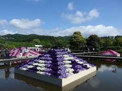 あしかがフラワーパークと鑁阿寺・足利織姫神社