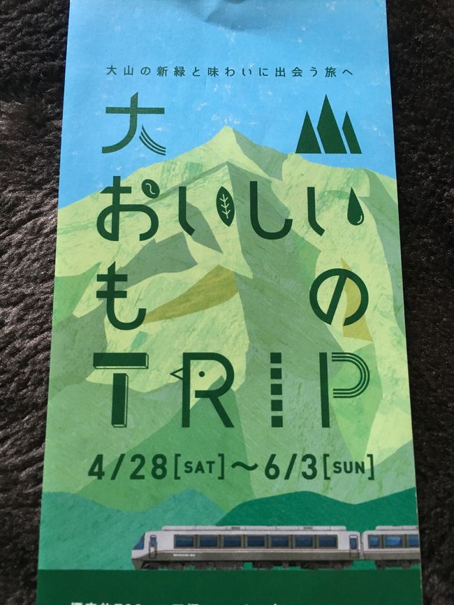 大山に一人散歩に行きました。