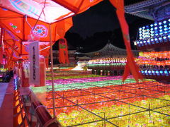 週末釜山★三光寺の燃灯祭　Lantern Festival