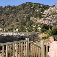 富戸に泊まって伊豆の桜を満喫（宇根の展望台）