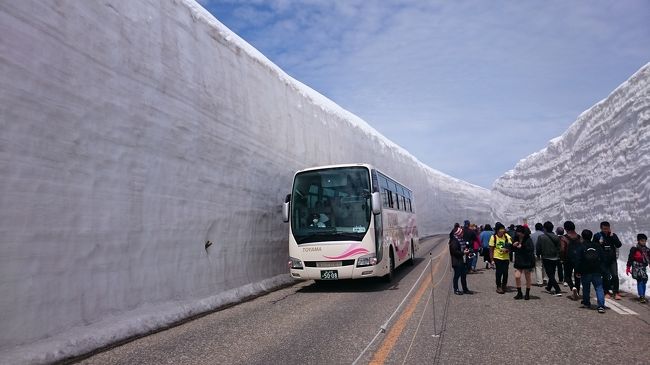 以前から行きたかった「黒部ダム」とGW時期、必ずと言っていいほどニュースで放映される「雪の大谷」に行ってきました。<br /><br />そして天気予報を見ると週末、『晴マーク！』なので早速、行動開始で新宿西口からの深夜バスを抑え予備知識をネット検索です。<br /><br />当日予報の通り天候に恵まれ最高でした。<br /><br />しかし、ツアー客が多いのにはさすがに参りました。クラツリからトラピックスに読売。そこに中国のツアー客でどこの乗り物を含めごった返しでした。<br />ホテル立山のレストランも長蛇の列でした。<br /><br />混雑するなか立山黒部アルペンルートを抜けラクして2450mまで行けるのもありがたいです。<br />そして富山市内に入り帰路は、これも初乗車の北陸新幹線で帰って来ました。<br />充実した一日となりました。<br /><br /><br /><br />