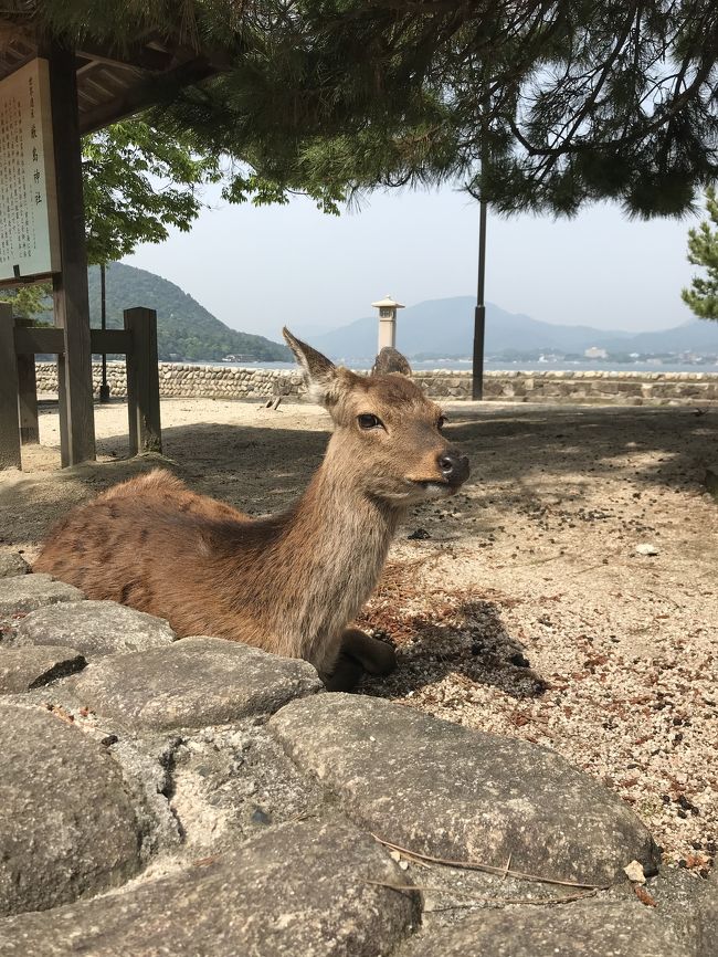 2泊3日思いつき旅