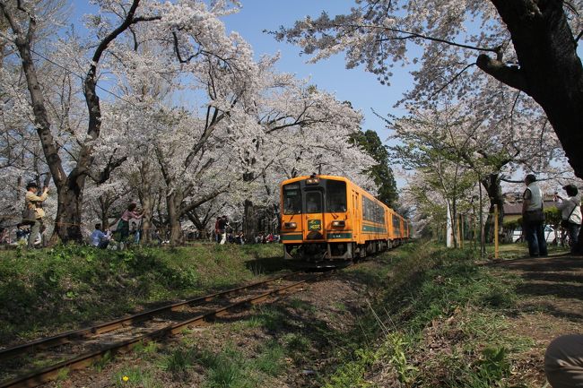 201805GW-07_五所川原市（旧金木町）の芦野公園