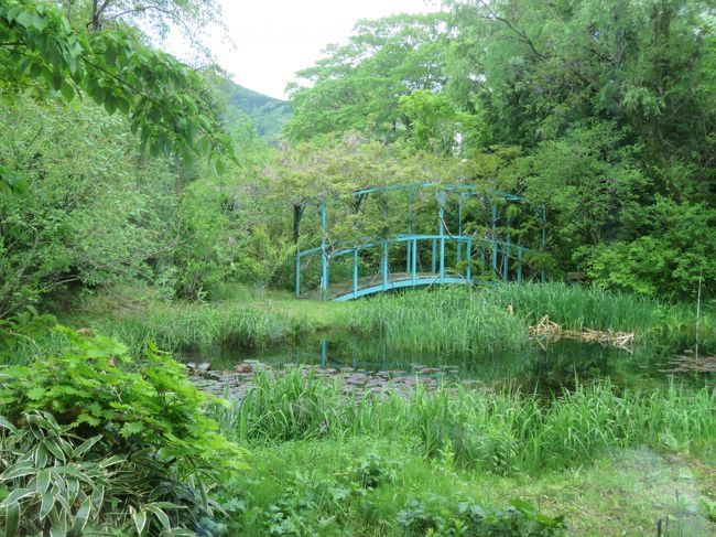 5月10日、箱根湿性花園を訪問後、午後0時45分頃にすぐ近くにある箱根ラリック美術館を訪問しました。アール・ヌ―ヴォー、アール・デコという二つの美術様式で活躍した、ルネ・ラリックの素晴らしい数々の作品を集めた美術館でしたが、写真撮影は禁止されていましたので内容を見せることはできません。斬新なデザインと優れた技術により作られた宝飾品は見どころがいっぱいでした。香水瓶のラベルのデザインを機に、ガラス工芸へと発展した芸術作品は素晴らしかったです。また、オパールについてオパールの魅力を存分に引き出したジュエリーと、計算されつくした輝きを放つオパルセントガラスをつくりました。<br />約一時間の鑑賞後に休憩室から見られる睡蓮の池や蝶の森を散策しました。 その後、カフェレストラン「LYS」で遅めの昼食を取りました。 最後にルネ・ラリックがオリエント急行として使用された列車内の豪華な内装を手掛けた車両を外から見ました。<br /><br />*写真は箱根ラリック美術館の周囲にある睡蓮の池