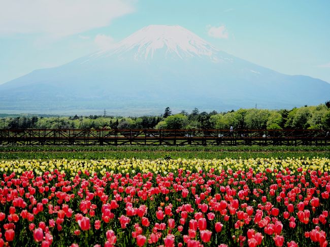 久し振りに富士山にドライブに行って来ました。