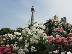 『ガーデンネックレス横浜2018』４つのローズガーデン＠山下公園～港の見える丘公園