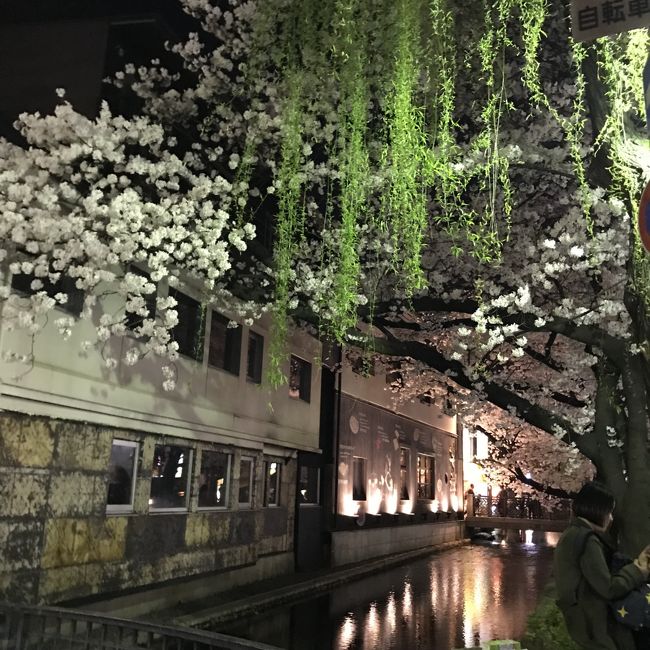 午前は妙心寺塔頭の東林院で精進料理教室なのでその前に朝散歩。<br /><br />午後は、嵐山でレンタサイクルして、広沢池で美しい桜を見たり、田んぼの間を走ったり。<br /><br />夜は、四条河原町に出て友人と食事。木屋町通りで夜桜を楽しみました。<br /><br /><br />油かけ地蔵<br />仁和寺　水かけ不動尊、経蔵、九所明神<br />嵐電桜トンネル<br />妙心寺東林院<br />広沢池、佐藤藤右衛門の桜、平安郷の桜<br />