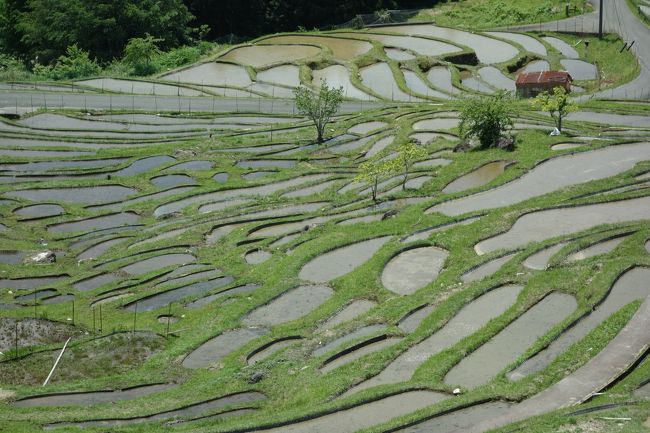 ＧＷも混雑回避☆紀伊半島斜め縦断で岩と水を見る旅3泊4日〈第3日目・熊野市でpart2〉