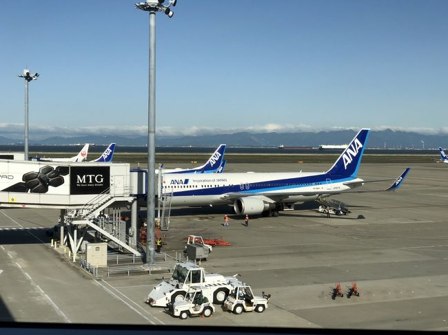 成田空港、スターアライアンスラウンジとシンガポール航空ビジネスクラス<br /><br />私は小学低学年からピーナッツファン。スヌーピーはもちろん、チャーリーブラウンが大好き。以前、TVで見た、サンタローザのシュルツ博物館には絶対、行きたい！！<br />それに旅好きなのに、まだアメリカ本土に足を踏み入れていない。映画、特に『LaLaLand』も大好き。ならカルフォルニア！で、ロサンゼルス。<br /><br />NGO→NRT　ANA337　7：40発　ANA公式HPより予約　普通席　\6,850<br />NRT→LAX　SQ12　19：15発　<br />LAX→NRT　SQ11　10：00発　エクスペディアより予約　ビジネスクラス往復　\332,040<br />NRT→NGO　ANA337　17：15発　ANA公式HPより予約　プレミアムシート　\14,650<br /><br />1,2日目ホテル<br />シェラトンゲートウェイロサンゼルス　エクスペディアより予約　2泊　\42,058<br />3～5日目ホテル<br />ウェスティンサウスコーストプラザ　SPGより予約　3泊　＄769.5<br />6日目ホテル<br />ウエスティンロサンゼルスエアポート　エクスペディアより予約　1泊　\23,860<br /><br />LAX→STS　アラスカ航空　7：30発　9：09着<br />STS→LAX　アメリカン航空　15：34発　17：10着　エクスペディアより予約　￥21,930<br />