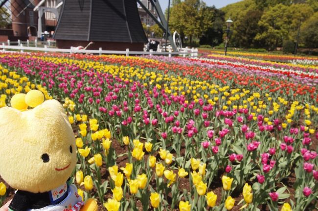 イルミネーションとチューリップを見に行ったハウステンボストリップの旅行記後編です。<br />2年ほど経過しましたが記録のために引き続き残します!<br />2日目は1日目と違い天気も良好!チュリーップ畑を堪能しつつアトラクションも楽しんだ1日です。