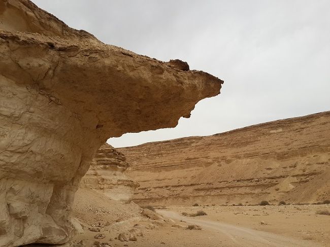 カイロからこんにちは！<br /><br />国土の90％が砂漠地帯のエジプトですが、観光地として有名な白砂漠や黒砂漠、ワディ・ヒタン（クジラ谷）などは、現在、一時的に旅行会社での手配が禁止されています。<br /><br />※正式な手続きをせずに手配している会社もありますので、ご注意を！！<br /><br />でも砂漠行きたーい！ ( ｀Д´)ノ<br /><br />という方。<br /><br />さらに！！<br /><br />上記、砂漠の観光地に行くには、一番近いワディ・ヒタンでも片道4時間くらいかかりますが、なんと、カイロの市街地から<br />わずか15分で到着する砂漠があります！