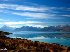 青きニュージーランド南島 ⑧ ( プカキ湖 ～ セアリーターン トレッキング ～ テカポ湖 )