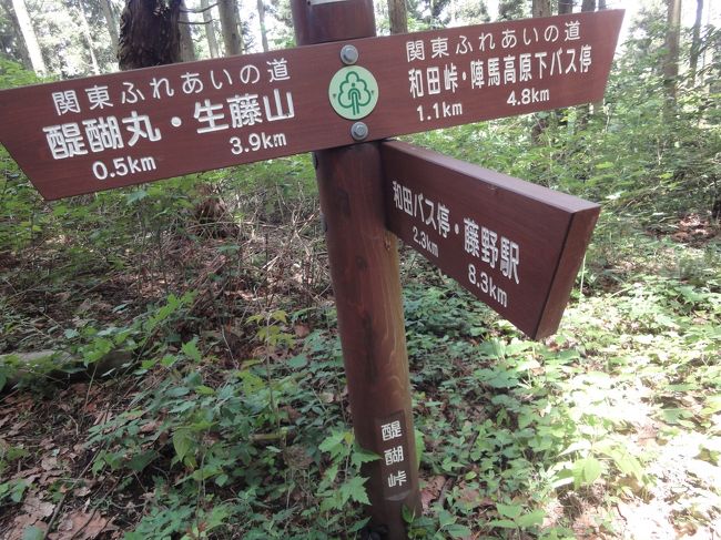 最近は山に行くことが無く、３年前に生藤山に登った時の旅行記です。<br />登山口は色々有るようですが、私達は中央線、上野原駅から井戸バス停で降りました。<br />登山口になる「軍刀利神社」が良い雰囲気。生藤山に登ってから陣馬山まで縦走し気持ち良い一日を過ごしました。<br /><br />2015年登山記録<br />　1.10　　 石老山<br />　1.18　　 青梅丘陵<br />　2.09 　　シダンゴ山<br />　2.14　　 箱根明星ケ岳<br />　3.07　　 湯河原城山<br />　3.15 　　谷川一の倉沢出合<br />　4.12 　　城山かたくりの里～城山湖～津久井湖<br />　4.25 　　坪山<br />　5.03 　　岩殿山～稚児落とし<br />　5.16～17雲取山<br />　6.07　　 生藤山～陣馬山 
