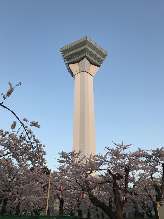 GWに桜を見に五稜郭にいきました<br />お天気も良くきれいでした。<br />車中泊のプチ旅行です