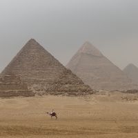 2018チュニジア＆エジプト　その6 ギザ、考古学博物館