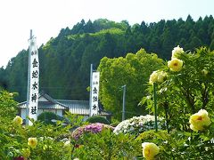 花まつりの金蛇水神社＆新緑の竹駒神社