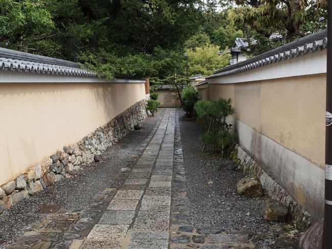 晩夏の京都ひとり旅【６】二日目・妙心寺塔頭巡り（後半）大雄院・桂春院＆夕暮れの河原町、福寿園の濃茶で一日を〆る