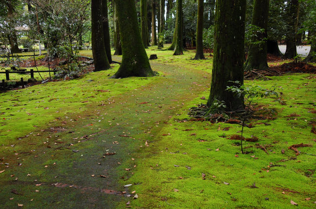 １３年前、日向路への旅を計画した。<br />高千穂と日南海岸を訪れる予定にしていたのだが、出発直前になり、大型の台風が九州を直撃。<br />高千穂へ向かう高千穂鉄道や、日南海岸へと向かう日南線が大きな被害を受け、旅は延期に。<br />その時には、一週間後に改めて出発となったが、結局、行き先は大幅に変更となり、宮崎から豊後大分へと城下町などを巡る旅となった。<br /><br />高千穂へは、２年前の２０１７年に訪れることができたが、今回、ようやく日向路への旅を計画。<br />そして３月下旬、東京発の夜行列車に乗り、日向路へと旅に出た。