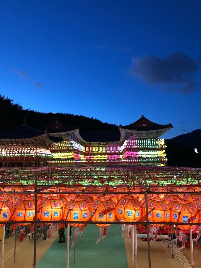 去年、旧暦間違えて三光寺の提灯祭り見えなかったので<br />リベンジです。<br />いつもの旅仲間と現地集合現地解散の釜山旅行。<br />今回もとっても楽しい３日間でした。<br /><br />飛行機は珍しくJAL。<br />特典航空券で成田⇔釜山便でした。<br />ホテルのみみんな同じホテルにして食事と観光一緒だったり別行動だったりでこれもいつものパターン<br />気軽に行ける釜山<br />食事も美味しくてまた行きたくなりました。