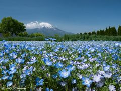 ２０１８年山中湖ロッジ滞在記（１）　山中湖村周辺は花盛り、夜な夜な富士五湖を巡り星空撮影