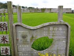 台湾が誇る「緑の楽園」池上(←ちじょう と読む）をサイクリングしてみた