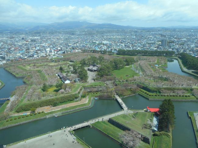 五稜郭の桜を見たいと思い、連休明けに行ってきました。ちょうど連休中が見ごろだったようでしたが天気にも恵まれてサクッと函館観光してきました。