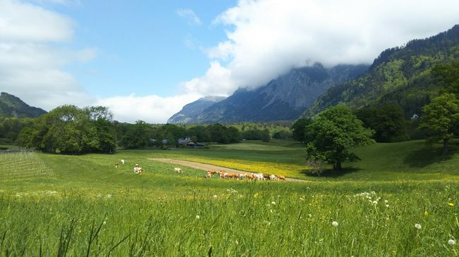 海外一人旅第15段はスイスの魅力に癒される旅 - 4日目（マイエンフェルト）