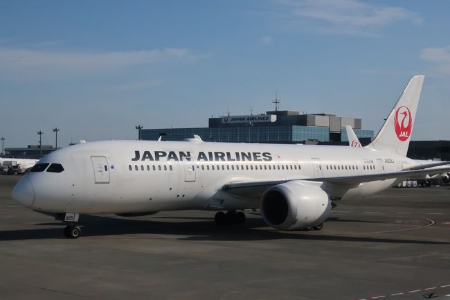 久しぶりのシンガポールです。<br />（言って半年ぶり11回目ですが・・・）<br /><br />今回は特典航空券のビジネスクラス手配をしたかったのですが、<br />日程が合わず、期限が切れる間近のマイルをeJALポイントに切り替え、エコノミー発券で行きました。<br /><br />JL711　NRT-SIN　17：55－0：20<br />JL038　SIN-HND　1：50－9：50<br /><br />JL711なんて、0泊3日で挑んだJGC修行以来です。<br />今では、767-300は飛んでなく、777-200に変わっていますね。<br />冒頭の写真は787ですけど(笑)<br />それでは、ご覧ください。