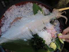 週末一泊旅行  前編【鳥取・活きイカの刺身を食べる！】