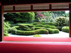 サツキ花巡り旅　in　滋賀（南東部）