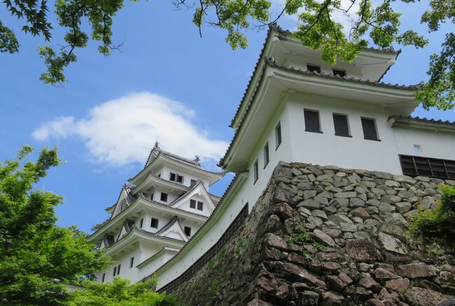 2018春、岐阜と愛知の名城(2/12)：郡上八幡城(2)：石垣、木造再建で最古の天守