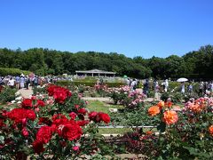 蕎麦とバラを楽しみに深大寺・神代植物公園へ