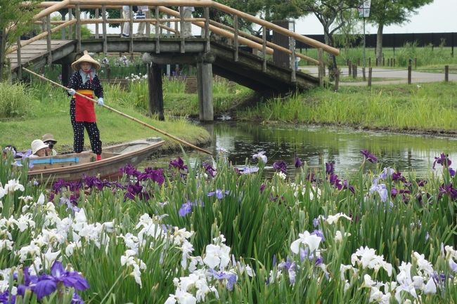 【坂東札所巡礼】　坂東28番　滑河山 龍正院（滑河観音）＆水郷佐原散策