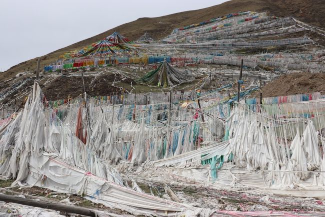 バトン・ゴンパを昼過ぎに出発し、青海省のペマに向かいます。ペマはアムド・ゴロク地方の最深部だけあってディープなチベット世界が広がっており、特に山一面にびっしりと広がるタルチョー群には度肝を抜かされました。<br /><br />以下、日程です。<br />4/28(土)　関空→杭州→成都<br />4/29(日)　&lt;BUS&gt;成都→観音橋泊<br />4/30(月)　&lt;包車&gt;観音橋→トゥジェ・チェンポ・ゴンパ(観音廟)→宗科郷加斯満村(日斯満巴民居)→修卡懸天藏寨→シリンカル・ゴンパ(曽克寺)→米郎寨→ザムタン泊(壌柯鎮)<br />★5/1(火)　&lt;包車&gt;ザムタン→ザムタン・ゴンパ(中壌塘郷)→バトン・ゴンパ(棒托寺)→班前村→★ヤルタンジャ・ゴンパ(阿什姜寺)→★ジャンリタン・ゴンパ(江日堂寺)→ペマ(班瑪)→タルタン・ゴンパ(白玉達唐寺)→白玉郷泊<br />5/2(水)　&lt;包車&gt;白玉郷→年保玉則→チクディル(久治)→ダロン・ゴンパ(徳合隆寺)→ンガワ泊(アバ阿壩)→セー・ゴンパ→キルティ・ゴンパ<br />5/3(木)　&lt;包車&gt;ンガワ→ナルシ・ゴンパ→トクデン・ゴンパ→デキ・ゴンパ(徳格郷)→アムチョク・ツェンニ・ゴンパ(査理郷)→神座村→ガルチン・ゴンパ→ンガワ泊<br />5/4(金)　&lt;BUS&gt;ンガワ→マルカム→チョクツェ泊(卓克基鎮)<br />5/5(土)　チョクツェ→&lt;BUS&gt;マルカム→成都泊(武候祠、藏街)<br />5/6(日)　成都→青島→関空