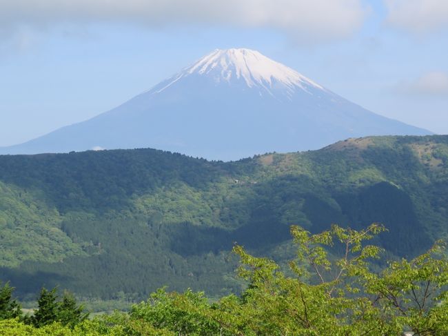 5月11日、午前7時に目が覚めて窓の外の景色を見ると素晴らしい富士山が見られました。　しかも快晴に近くとても美しかったです。　埼玉から遠い富士山を見るのと違って遮るものがない富士山を近くで見られるのは最高でした。　姥子駅午前9時10分発のロープウエイからも見られてとても良かったです。<br /><br /><br /><br />*写真はホテルから見られる素晴らしい富士山