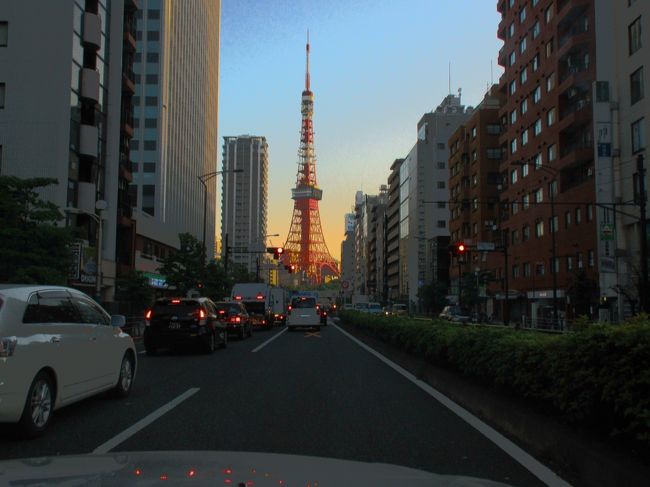 今年も5月のGW混雑はパスして、6日から東北の温泉を楽しむ一週間の旅をして来ました。最初の目的地は岩手の「網張温泉:国民休暇村」の宿泊。が、少々距離が遠いので初日はオアシスを求めて、福島県 会津若松の東山温泉の宿泊にしました。「伊東園・東山パークホテル新風月」の宿泊です。招待券が有りましたので一泊二食(2名)は無料です。300円の入湯税だけで済みました。会津若松は幕末に「会津藩」最後の戦場になった悲劇的な歴史のある市です。会津若松の旅行記は何回か寄稿していますので今回はパスします。直近の旅行記は2017年7月「会津東山温泉の夏旅」。<br />東京を早朝に出ました。ロングドライブに初めてパートナーが付き合ってくれます。都内の車の混雑を避けて、道中の途中までは「首都高速~東北自動車道」を利用します。埼玉を越えた地点から国道4号を走ります。<br /><br />表紙の写真は 早朝の「東京タワー」・・・走行中の撮影(赤信号停車)。
