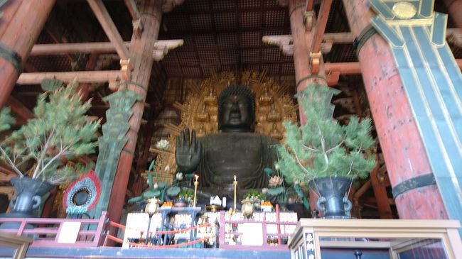 東大寺の大仏殿に行って来ました。