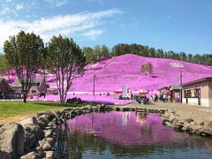 東藻琴芝桜公園に芝桜を見に行きました