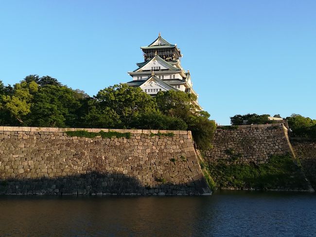 大阪城公園をぶらぶらした後、中之島公園で薔薇を見て、梅田ヘ。梅田から夜行バスでバスタ新宿ヘ。明け方休憩した鮎沢で富士山が見えた。