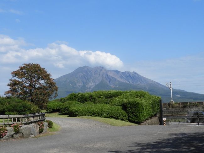 5月12日に、鹿児島市で夫の久しぶりの同窓会があるという。<br />この機会にmistralも便乗して、お墓参りをかねて、<br />日頃残してきたままのお墓を管理して下さっている親戚のおじさんへご挨拶がてらお見舞いの訪問を、<br />そして鹿児島空港近辺にあるお気に入りの温泉宿に宿泊する計画を立てた。<br /><br />折から鹿児島は、NHKで始まっている大河ドラマ「西郷どん」の影響か、大賑わい。<br />どこに行っても外国からのお客様も含めて、観光客で溢れていた。<br /><br />夫の出身地のドラマでもあり、<br />多少なりとも鹿児島の広報にもなればと<br />まずは西郷どん、ゆかりの地を巡った旅行記です。<br /><br />(表紙写真は仙巌園から眺めた桜島)<br /><br />