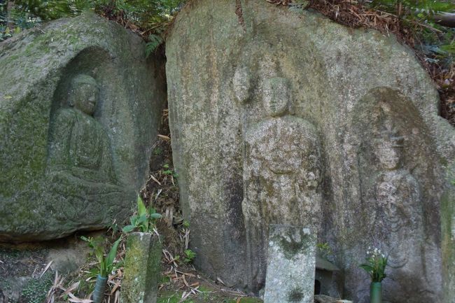 当尾（とうの）は京都府木津川市加茂町にあり、奈良市に接した樹木に覆われた山村の風景が趣がある。近鉄奈良駅から奈良交通バスに揺られ、２５分弱で浄瑠璃寺に着く。門前に土産物店が２軒を通り過ぎ、浄瑠璃寺を拝観(本堂内撮影禁止）国宝の阿弥陀堂、三重塔とお庭散策。ここを基点に両側に竹藪だらけの車道を少し歩き、車道を離れハイキングコースを多くの石仏を訪ねながら岩船寺まで２Ｋｍ程を歩きます。木津川市コミュニティバスで６分浄瑠璃寺に戻り、近鉄奈良駅に帰ってきました。