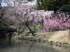 １０．年度末の浜名湖ロイヤル1泊　浜松城公園その２　浜松城 清水曲輪　日本庭園　浜松～三島のドライブ