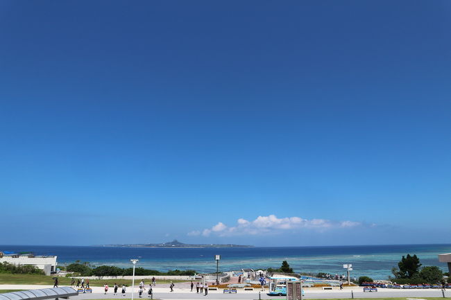 うちのGWはこれから~仕事がひと段落するこの時期に去年は石垣島、今年は沖縄本島へ。<br />5月14日~17日の3泊4日<br />去年は梅雨入りしていたのでお天気が悪く海も冷たくただただ蒸し暑かった石垣島。<br />今年も梅雨入りしてるしあまりお天気は期待せずに行ったら毎日晴れて暑くて空梅雨だったようです。<br />初日のプロレス観戦に天気が良く海で遊べて夏先取りの旅になりました。<br /><br />宿泊<br />1泊目沖縄市ホテルコザ<br />2泊目恩納村リザンシーパーク谷茶ベイ<br />3泊目恩納村リザンシーパーク谷茶ベイ<br /><br />今回は仙台からスカイマークで神戸空港経由で那覇空港へ入りました。<br />仙台空港からの直行便より到着が早くてお安く行けました。<br />神戸空港での乗り継ぎが35分しかなかったのですが、予想通り仙台からの機材がそのまま那覇行きになり何の問題もなく乗り継げました。<br />仙台空港スカイマークカウンターで乗り継ぎ便の手続きもでき荷物も仙台から那覇まで運んでくれます。<br />仙台から早くて安く行けるのでスカイマークいいですね!<br />帰りは乗り継ぎ時間がわるいのでANAの直行便を利用しました。<br /><br />5月14日<br />仙台空港SKY153便9時15分発→神戸空港10時40分着<br />いま特4800円<br /><br />神戸空港SKY595便11時15分発→那覇空港13時30分着<br />いま特5600円<br /><br />日産レンタカー3泊4日 ノートe-POWER指定14160円(保険込み)ガソリン2487円<br /><br />本家亀そば港町本店<br />港川外人住宅 ポートリバーマーケット<br />ホテルコザ(宿泊)<br />コザミュージックタウン(全日本プロレス)<br />サンライズホテル(レストラン)<br /><br />5月15日<br />クランプコーヒーストア<br />なかむらそば<br />万座毛<br />カフーリゾートフチャクコンドホテル<br />おんなの駅なかゆくい市場<br />リザンシーパーク谷茶ベイ<br /><br />5月16日<br />美ら海水族館<br />アセローラフレッシュ<br />A&W<br /><br />5月17日<br />瀬長島<br />那覇空港ANA1864便14時00分→仙台空港16時35分着<br />旅割12200円
